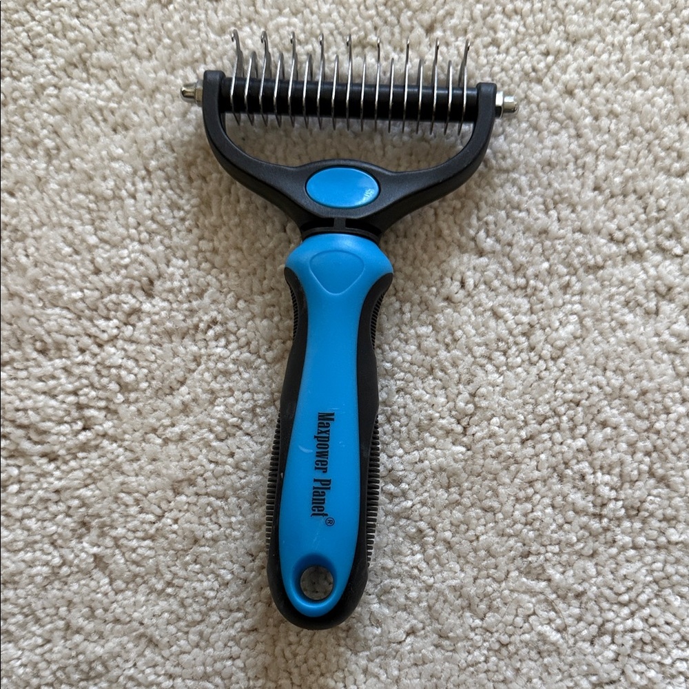Blue dog brush